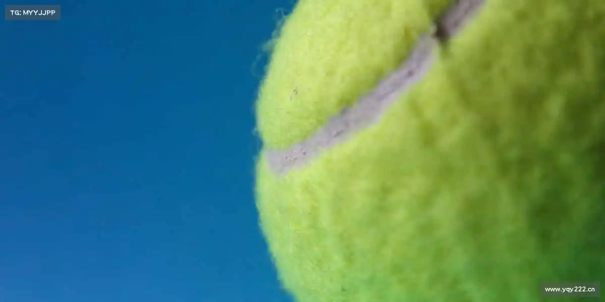 南宫NG28🏀热血赛场,你的主场由你定义!